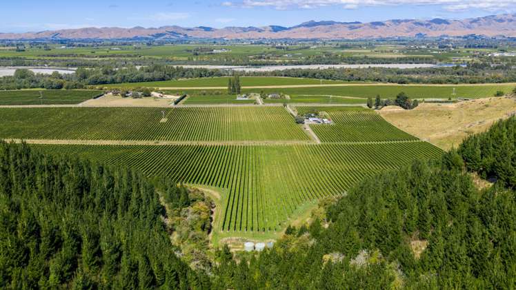 1224 Kaituna-Tuamarina Road Kaituna_22