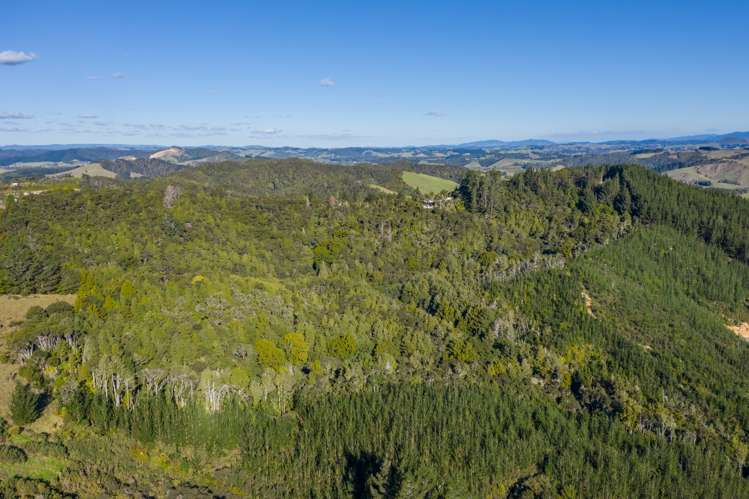 1255 State Highway 10 Kerikeri_24