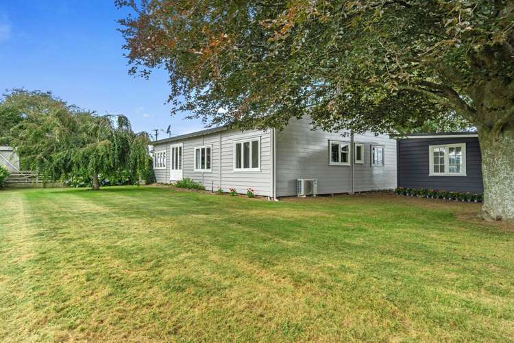 126 Payne Road Kihikihi_18