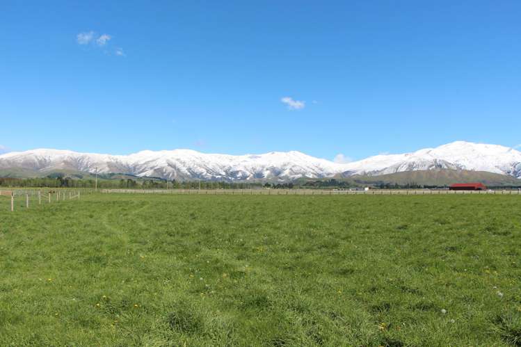 770 Hamilton Road Ashwick Flat_2