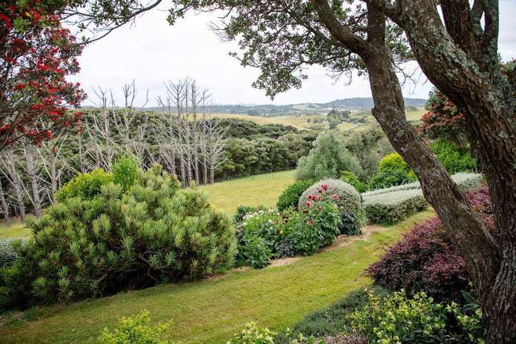 134 Muriwai Valley Road Muriwai_4