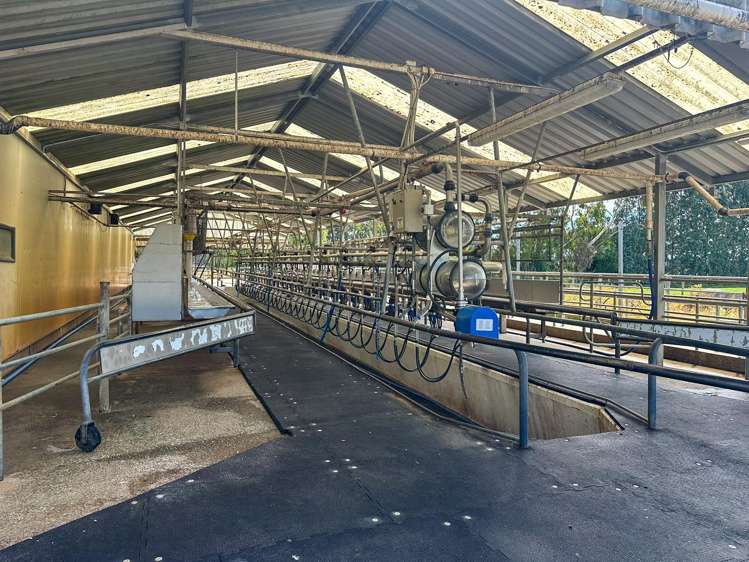 318 Waipango Ermedale Road Gummies Bush_15