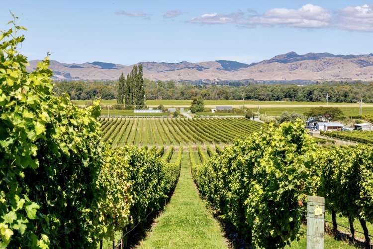 1224 Kaituna-Tuamarina Road Kaituna_16