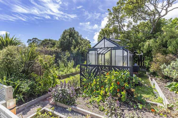 88 Hobart Street Miramar_5