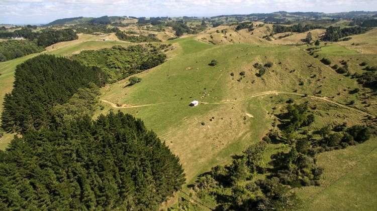 797 Paparata Road Mangatawhiri_14