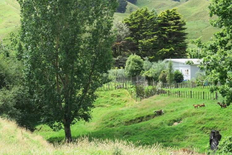 298 Tunakotekote Road Taumarunui_18