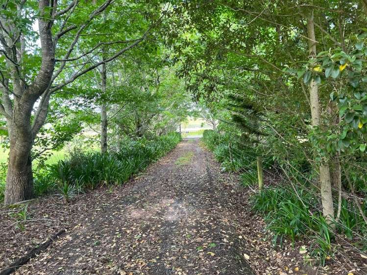 2850 Kaipara Coast Highway Glorit_11