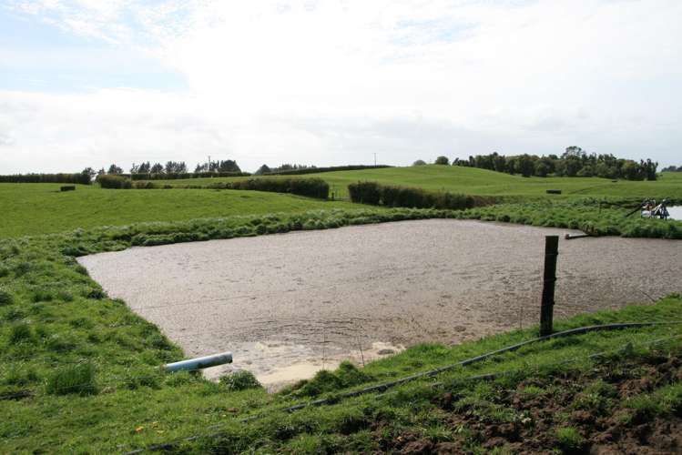 2105 Hastings Road Mahoe_16