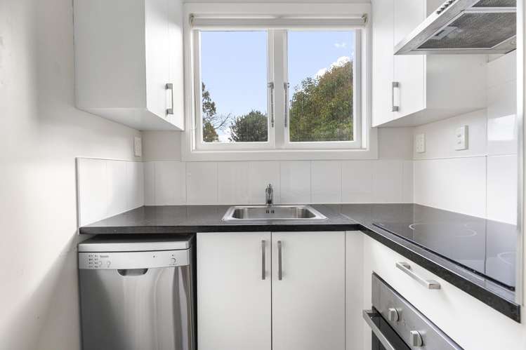 77 Lincoln Street Ponsonby_12