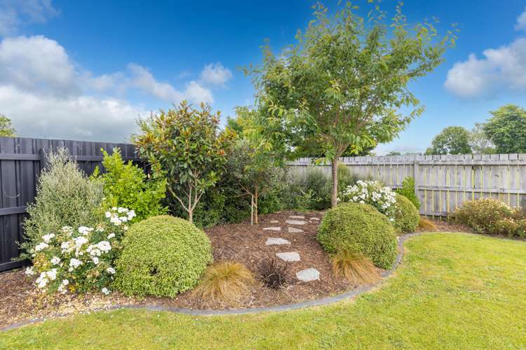 31 Halberg Crescent Chartwell_20