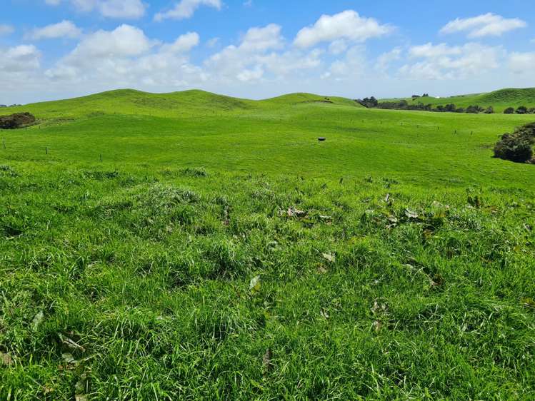 3009 Carrington Road Okato_25