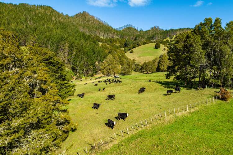 255 O'Carroll Road Maungakaramea_17