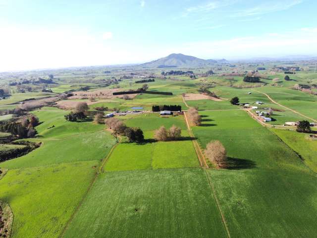 Maize and Grazing