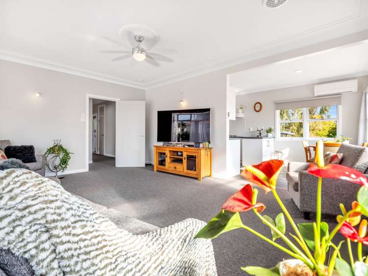 8A Goodwin Avenue Morrinsville_9