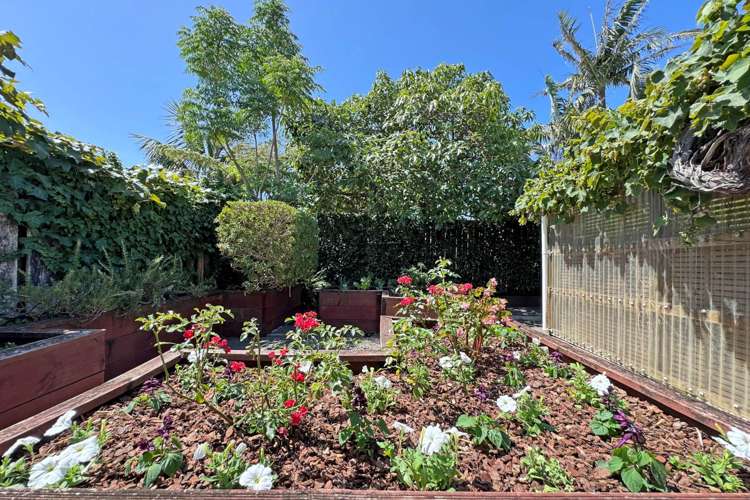 4 Tainui Road Devonport_22