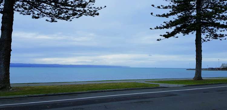 70 Hardinge Road Ahuriri_6