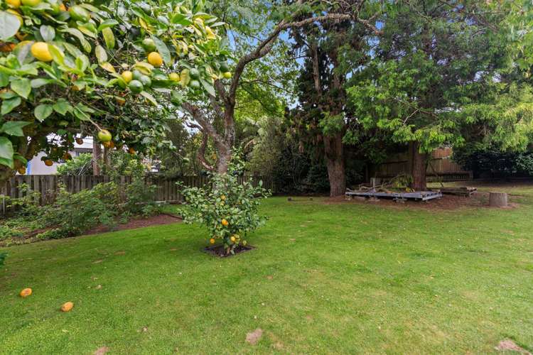 14 Kauri Street Hillcrest_12