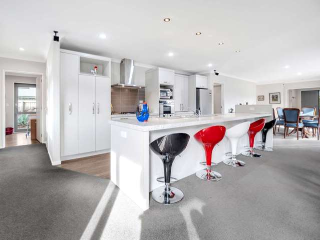 141 Lowes Road Rolleston_3