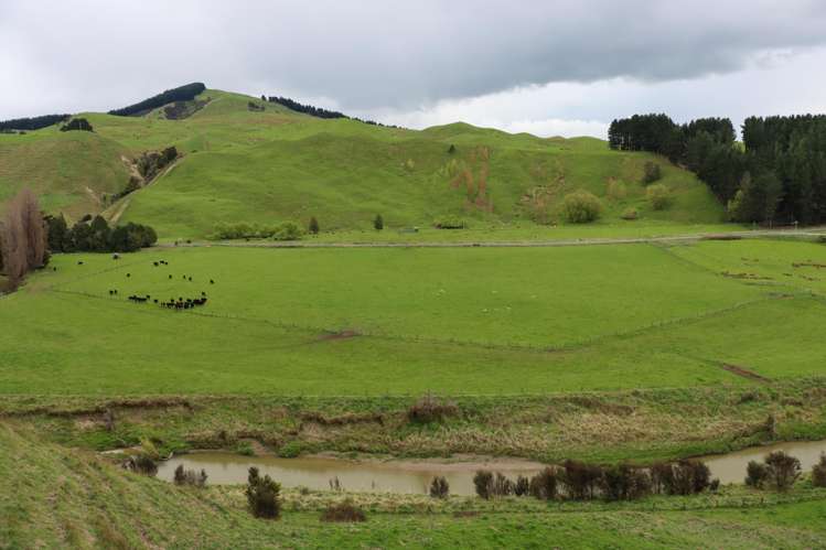 8401 Route 52 Dannevirke_1