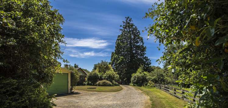 541 Beaconsfield Road Pareora West_12