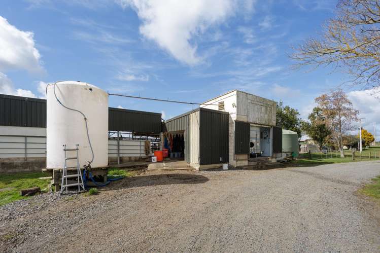180 Cameron Road Morrinsville_8