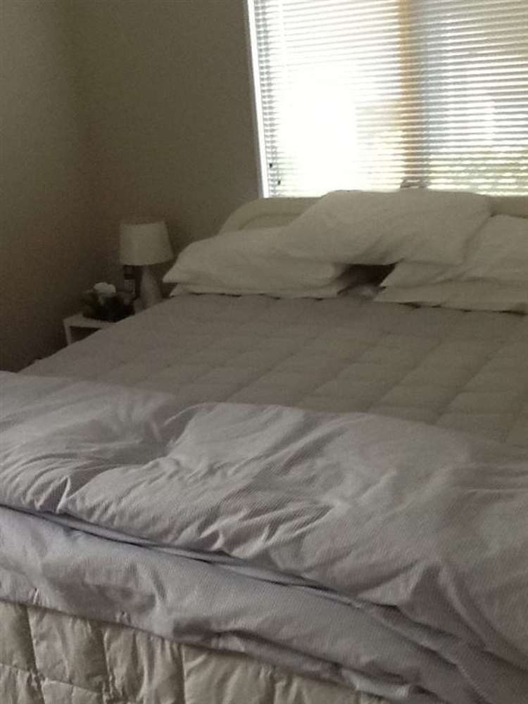 32a Winchester Street Lyttelton_11