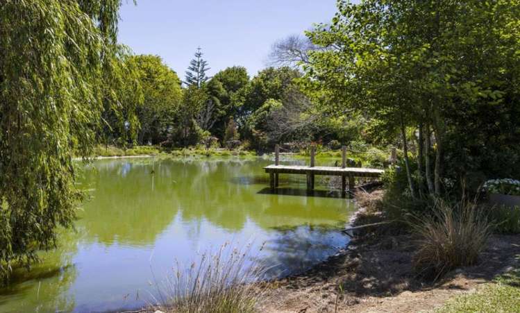 6 Dyke Road Karaka_4