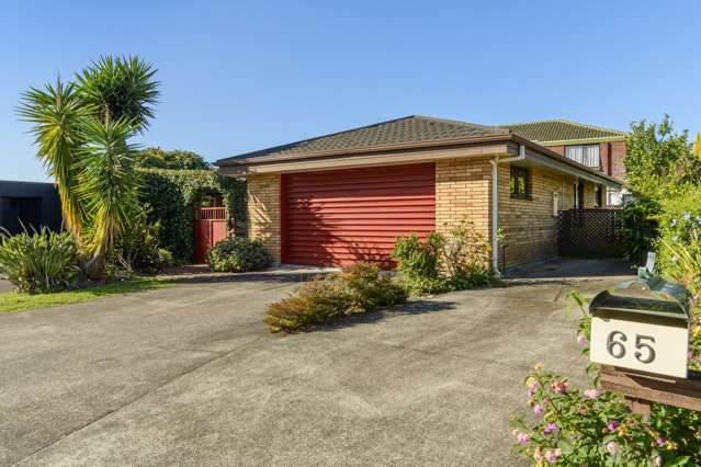 65 Waratah Street Matua_1