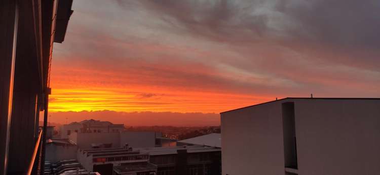 1d/83 New North Road Eden Terrace_4