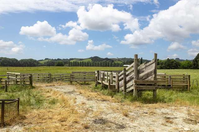 Lot 6 Streamlands Swamp Road Kaipara Flats_2