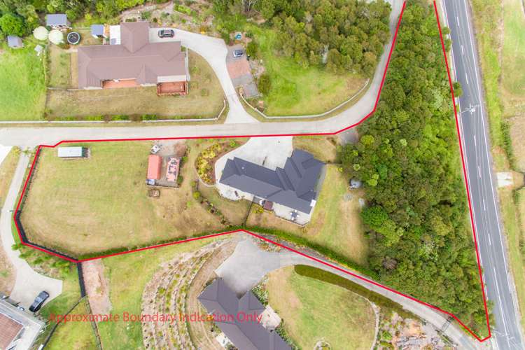 318 Birdwood Road Massey_4