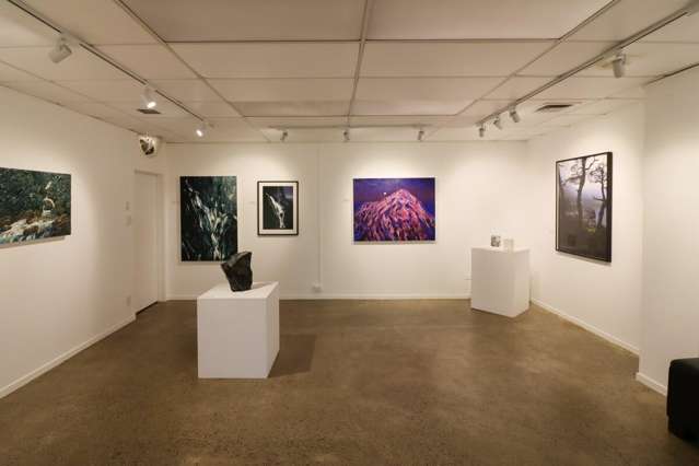 255 Hardy Street Nelson City_4