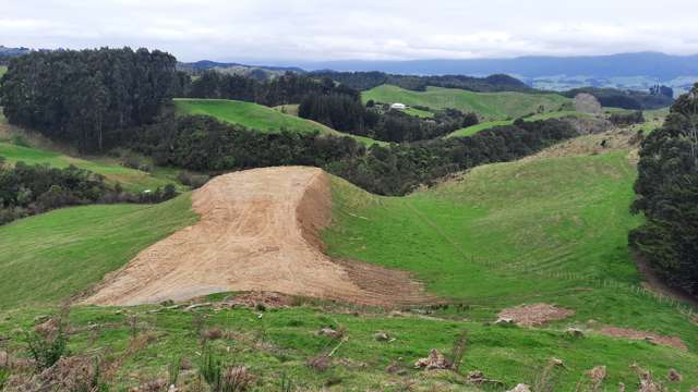 Pohangina Valley Find