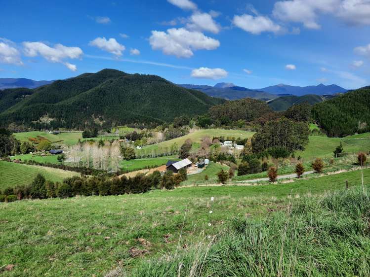 Lot 4 326 Aniseed Valley Road Aniseed Valley_12