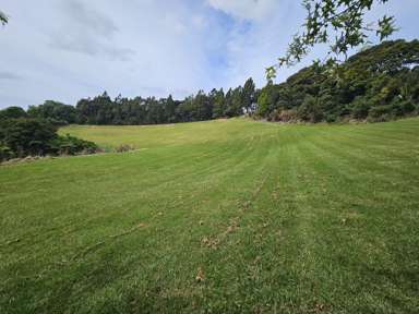 214a Three Oaks Drive_2