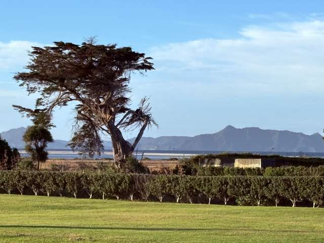 Garden of Eden, so close to the estuary