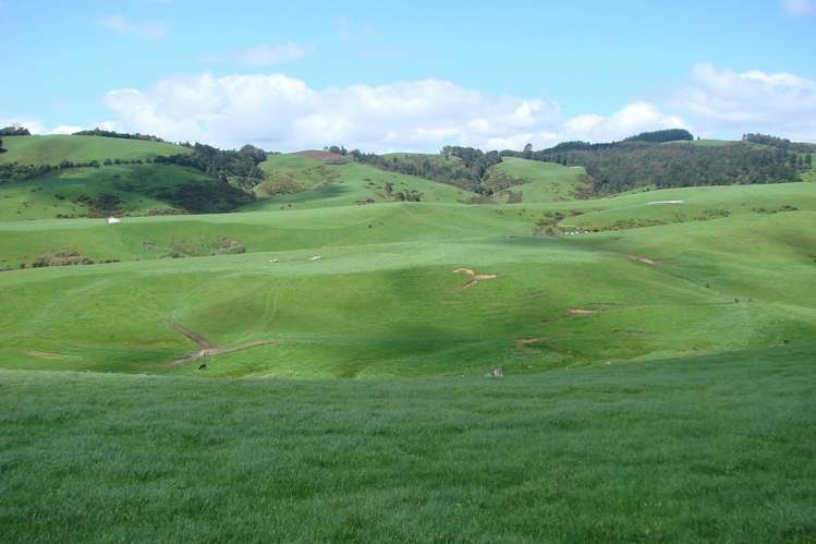 121 Ngapeke Road Otorohanga_1