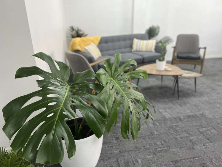 59-61 Walton Street Whangarei_25