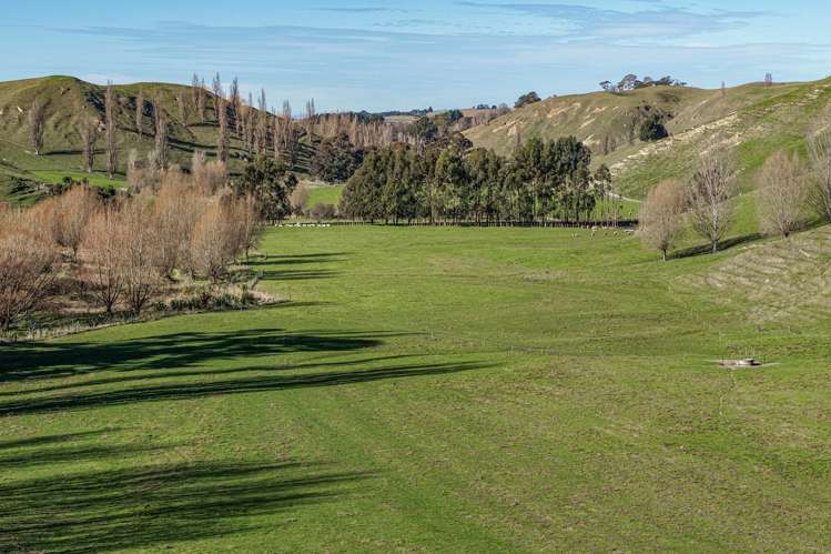717k Puketitiri Road Puketapu_11
