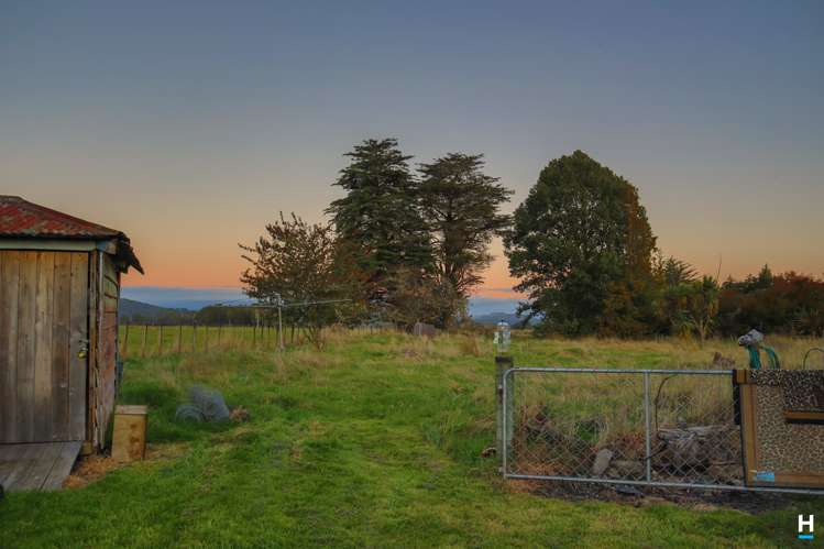 829 Nelson Creek Road Hochstetter_34