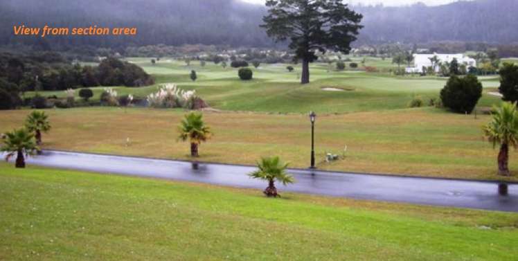 59 Pinehurst Drive Pauanui_1