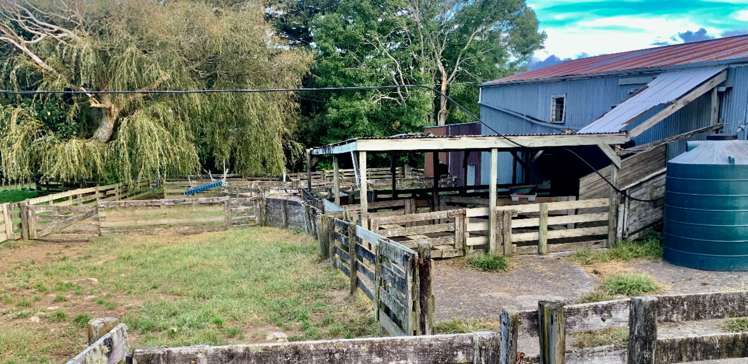 131a Savage Road Waihi_11