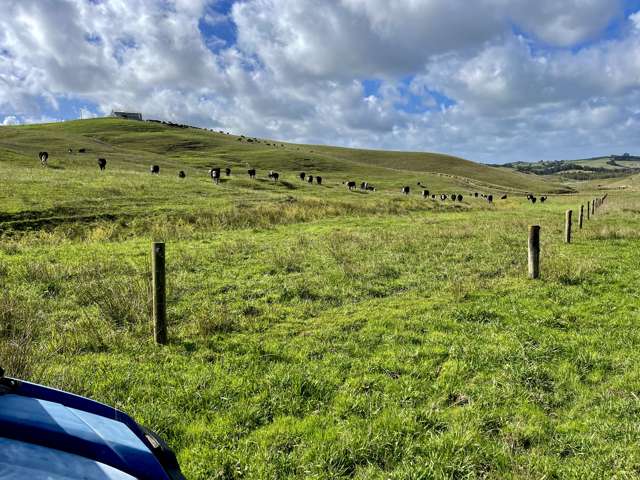 426 Mangarata Block Road Arapohue_4