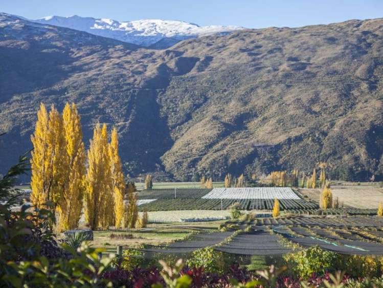 147 Gibbston Back Road Gibbston_21