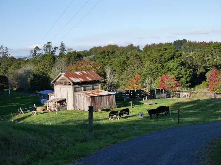 102 Allen Street Morrinsville_10