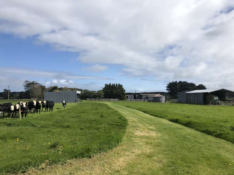 120 Soldiers Road Kuku_6