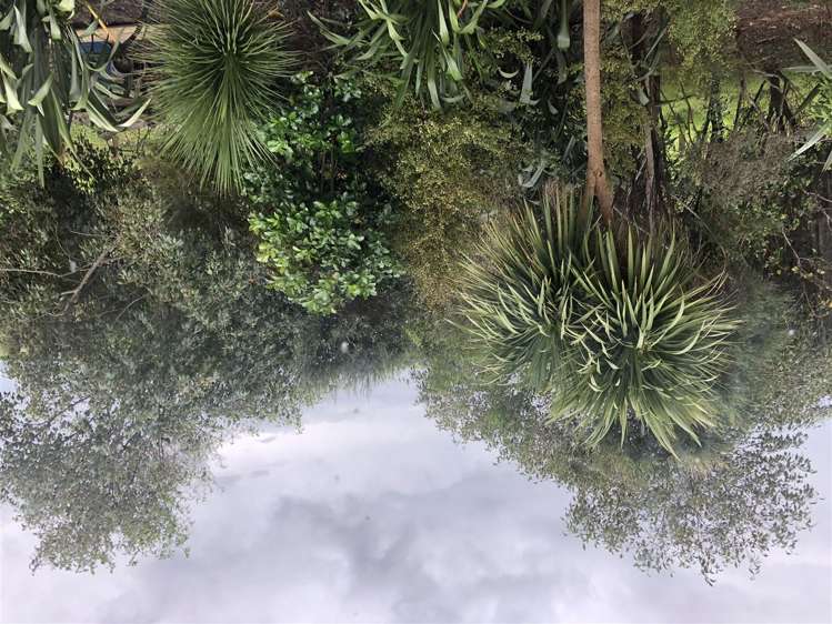 2990 Kaipara Coast Highway Glorit_16