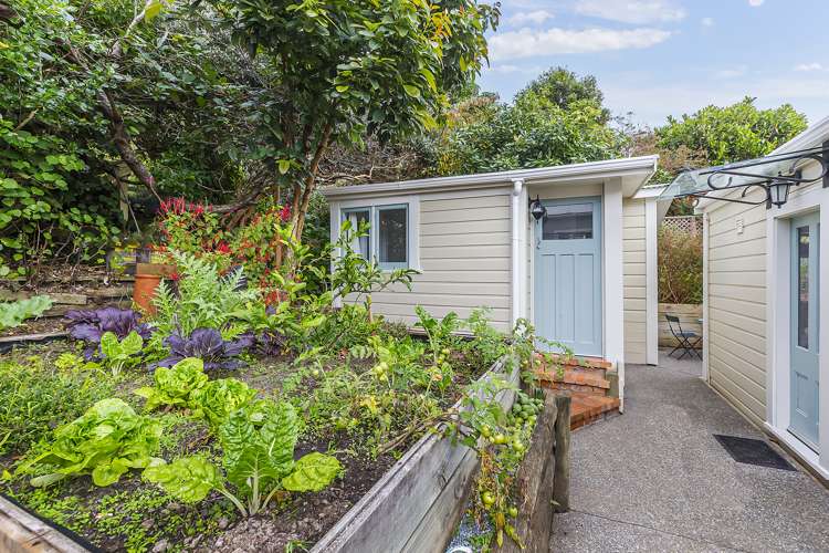 131 Aro Street Aro Valley_16