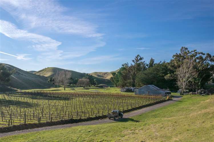 5468 State Highway 1 Seddon_6