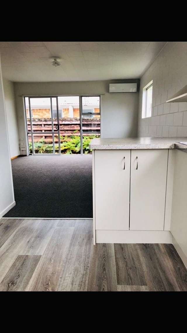 1/31 Greensboro Street Hamilton East_2